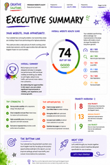 Premium Website Audit